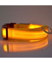 Collar de perro luminoso LED