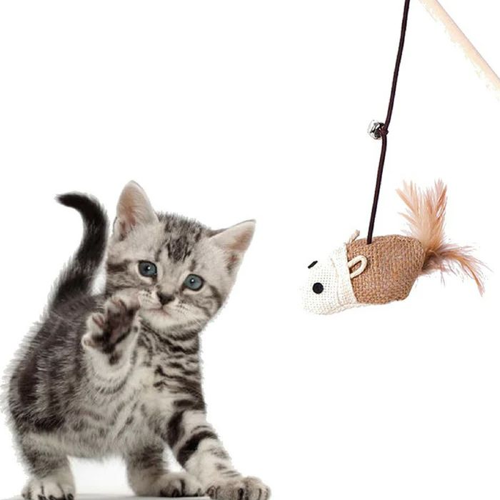 cane fishing for kitten with a stick and a string and a mouse to play