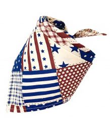 Foulard pour chien - America