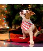 Pañuelo navideño para perros