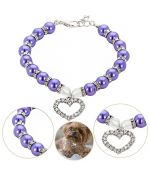 luxury dog collar
