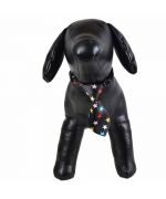 accessoire de luxe pour chien