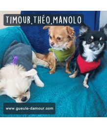 Fleece sweater for dogs and cats - Basic