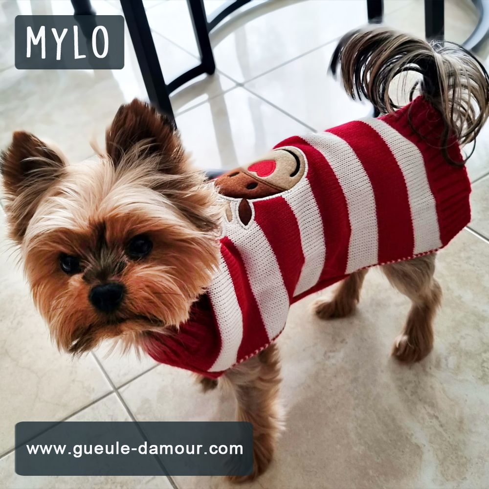 Christmas winter red wool sweater for dogs and cats