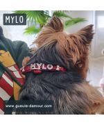 customizable dog collar