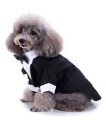 costume de mariage pour petit chien