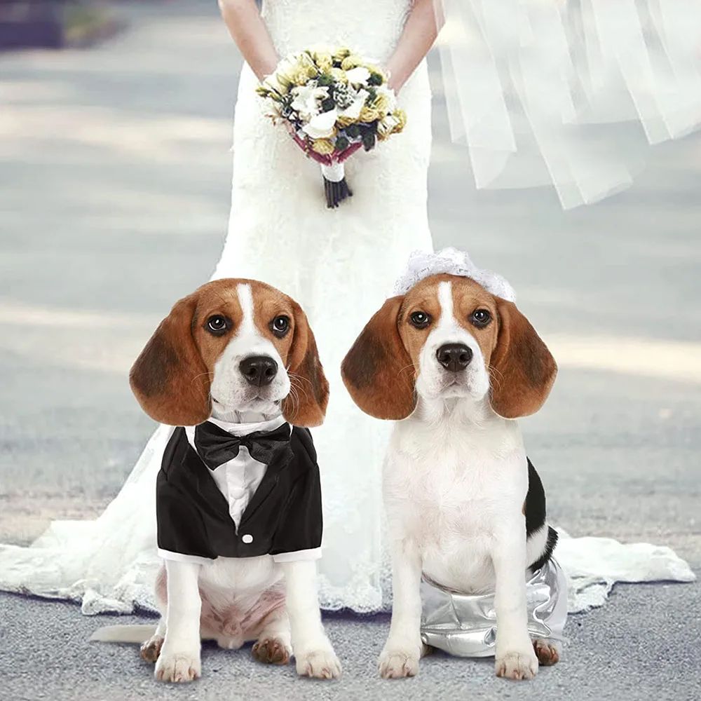 Achetez en gros Tenue De Fête De Mariage Pour Petits Chiens Moyens