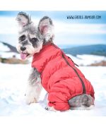 abrigos de esquí para perros