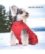 traje de nieve para yorkshire