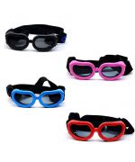 lunette pour petit chien