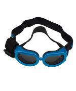 lunette de protection pour chien