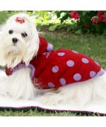 red coat dog autumn gueule d'amour polka dot cute