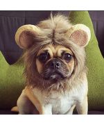 perro pug con sombrero de león Envíos a Suiza, Noruega, Suecia, Dinamarca, Bélgica, Francia, Polonia, Hungría