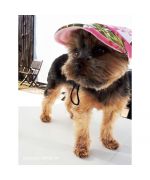 casquette rose pour chien