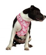 T-shirt harness for small dog