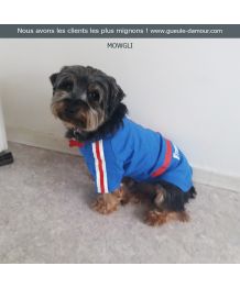 Camiseta de fútbol para perros - Francia