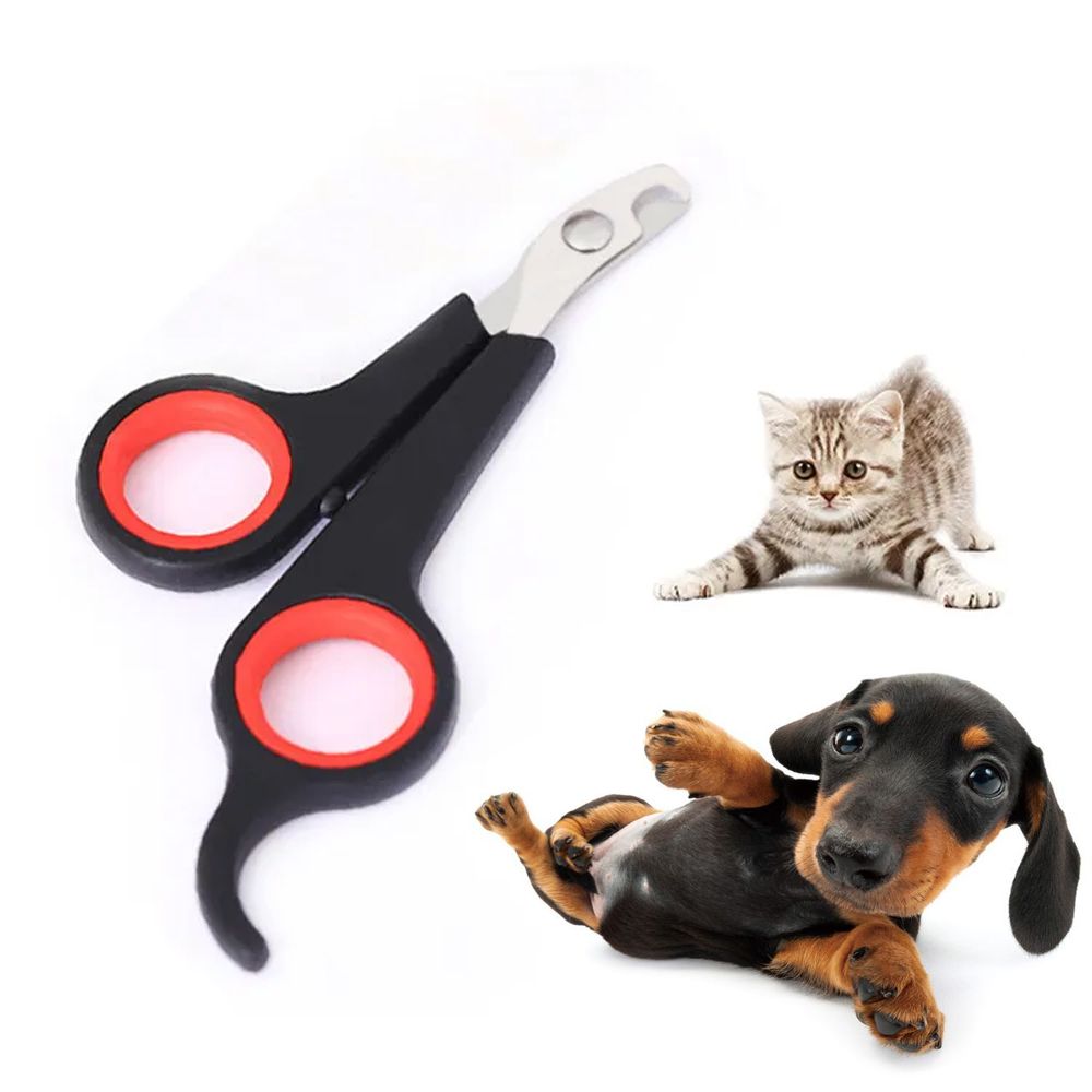 Claw scissors - Cat and Small dog
