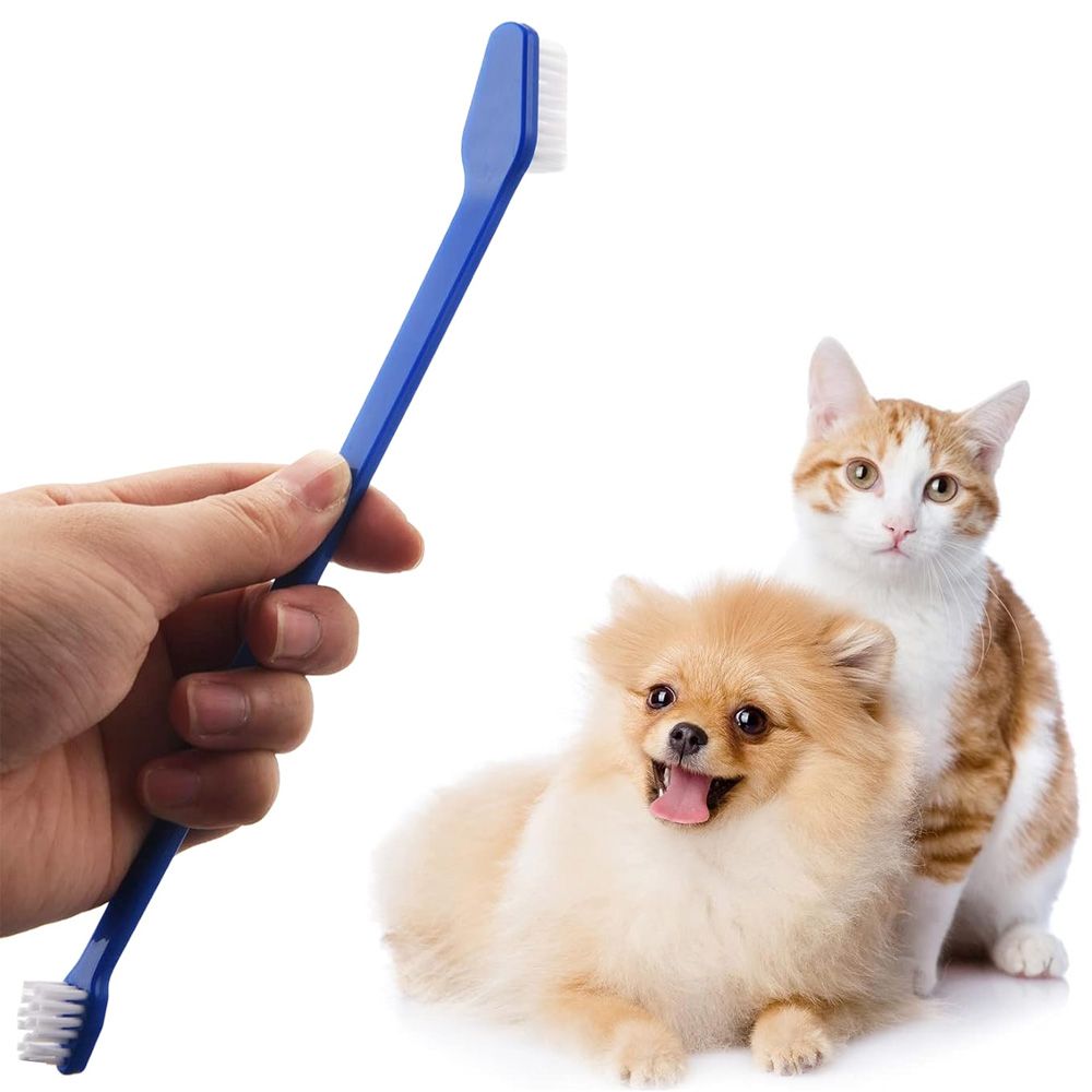 Set tooth Brush + 2 finger cots - Dog and cat