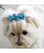 barrette pour bichon