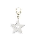 Star pendant to hang on the collar of your dog, cat, key ring ... Delivery Corsica, Ajaccio, Bastia, Porto Vecchio ...