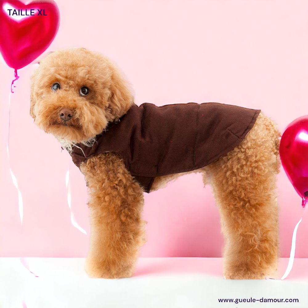 manteau pour caniche