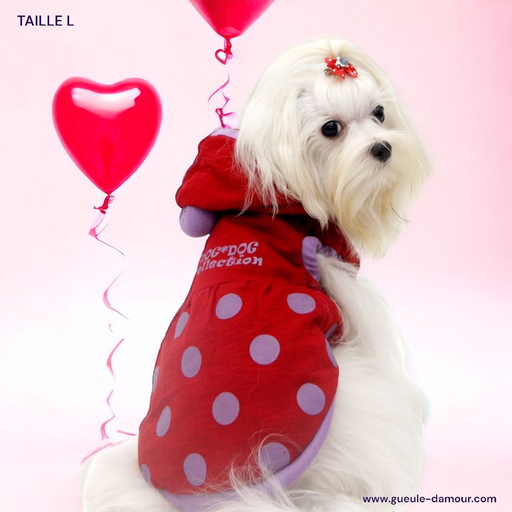 red coat dog autumn gueule d&#039;amour polka dot cute