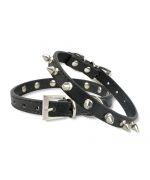 collar con tachuelas para perro pequeño