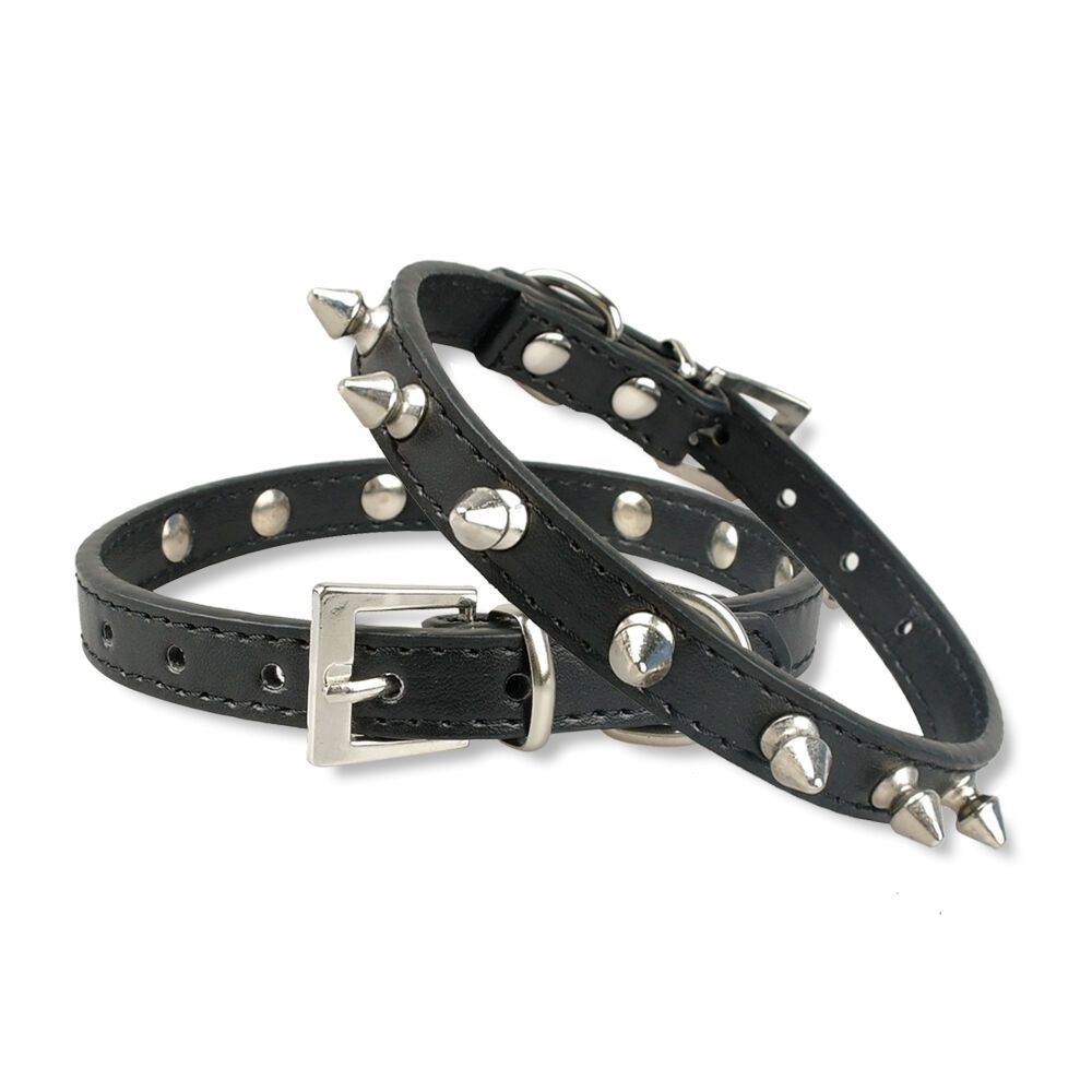 studded collar for small dogs