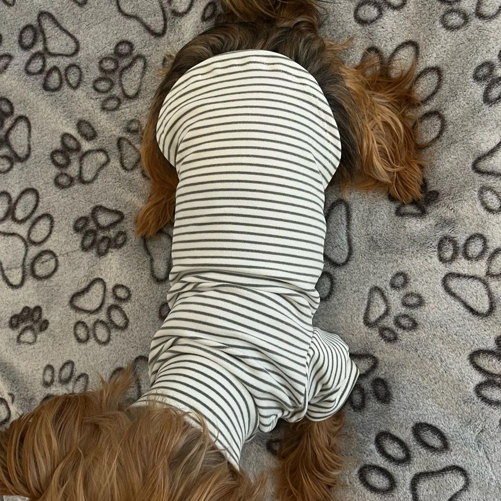 greyhound sweater