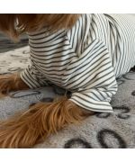 pull pour petit chien en coton