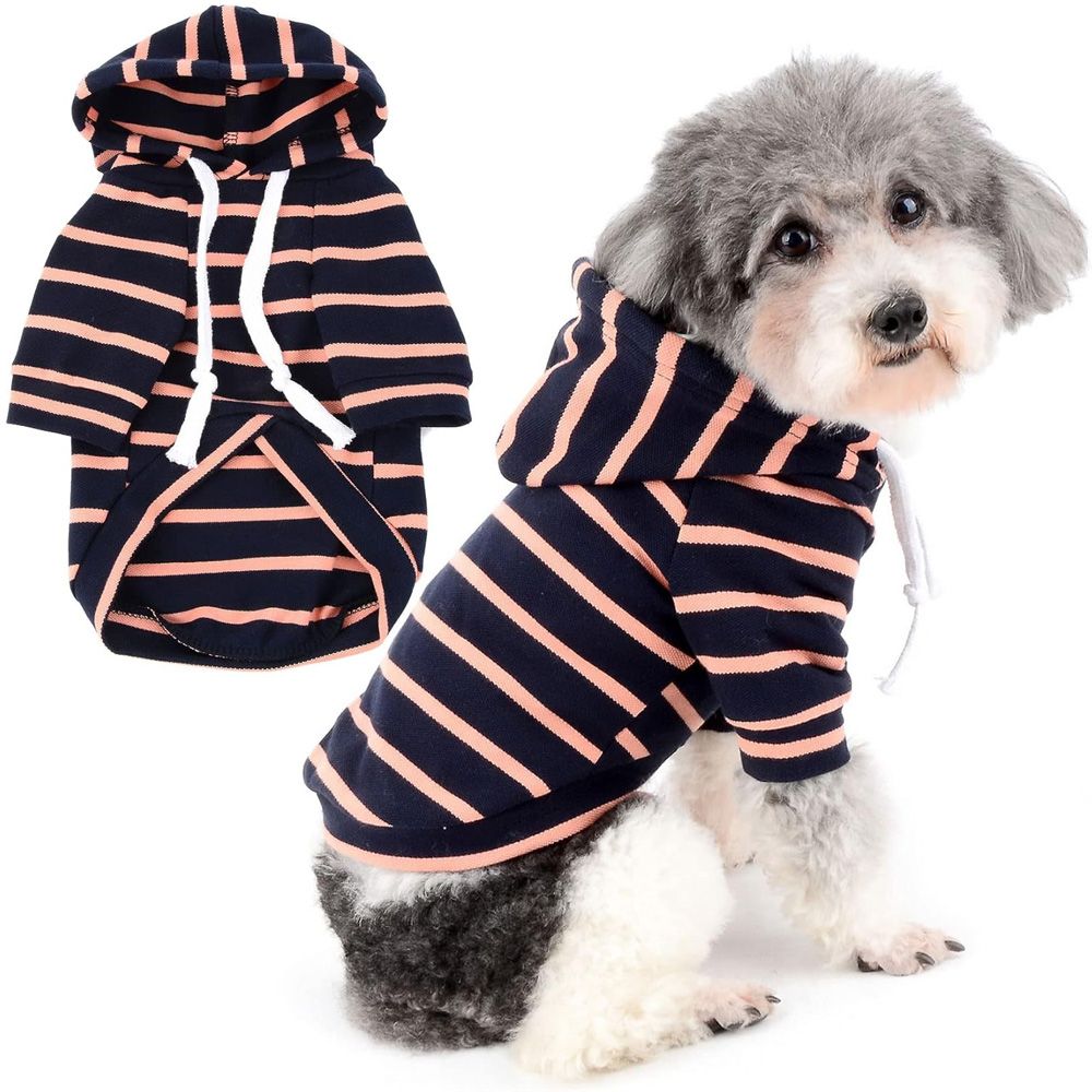 pull breton pour chien