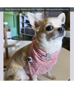 bandana for dog female pink plaid cheap delivery switzerland belgium france dom tom