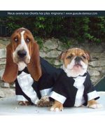 Esmoquin para animales: chihuahua, yorkshire, bichón, caniche, pug, bulldog, jack russel, perro y gato...