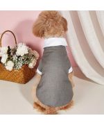 costume de mariage pour chien