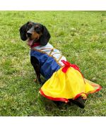 robe de deguisement pour chien