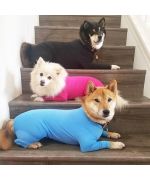 traje antiarañazos para perros