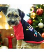 Merry Christmas dog sweater