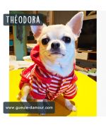 Regalo original para perro y gato y bolsito calavera