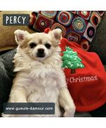 hooded Christmas sweater for red dog original gift mouth of love France