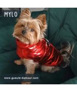 red coat for dog