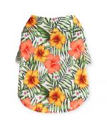 summer shirt for dog