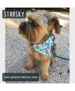 scarf collar for small chic dog