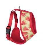 adjustable bichon harness