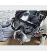 gafas para bulldog francés