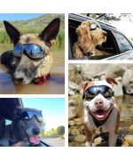 lunette protection solaire pour chien