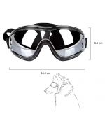 lunette solaire pour chien