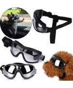 lunette protection soleil pour chien