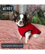 dog fleece