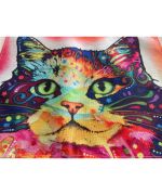 cat kitchen set
