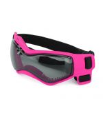 pink small dog motorcycle goggles